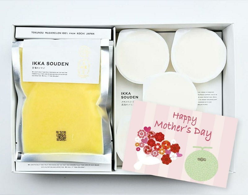 母の日 マスクメロンのピューレ5袋と高知のバニラアイス5個