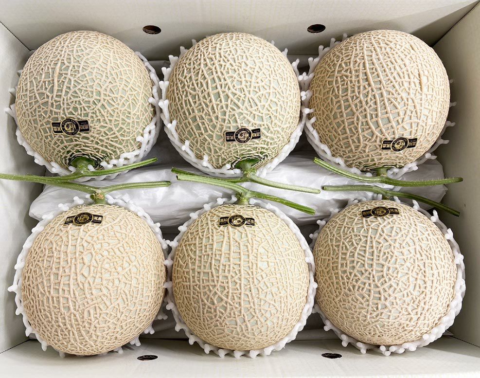 【ひとりじめメロン】マスクメロン6玉7kg以上