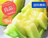【ひとりじめメロン】マスクメロン6玉9kg以上