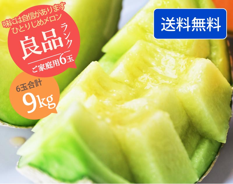 【ひとりじめメロン】マスクメロン6玉9kg以上