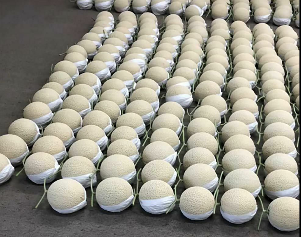 マスクメロン仕訳