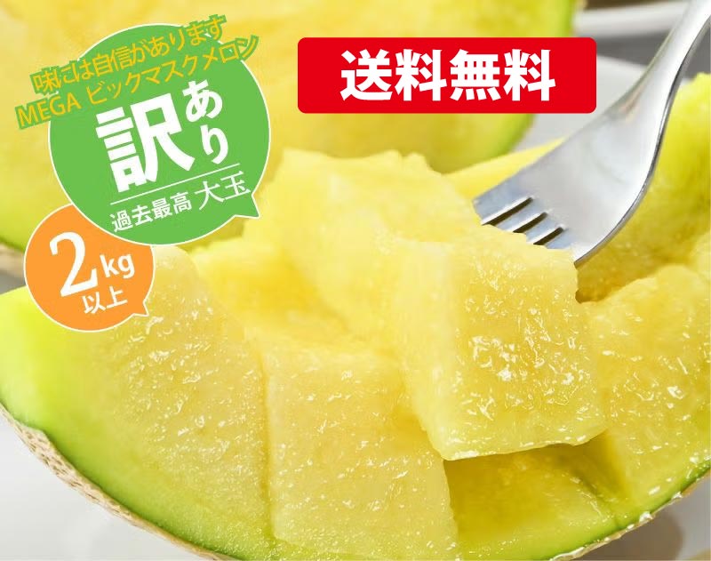 【メガビッグ】マスクメロン1玉2kg以上