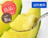 【ひとりじめメロン】マスクメロン6玉8kg以上