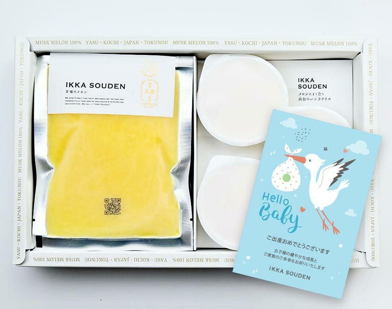 出産祝い マスクメロンのピューレ3袋と高知のバニラアイス3個
