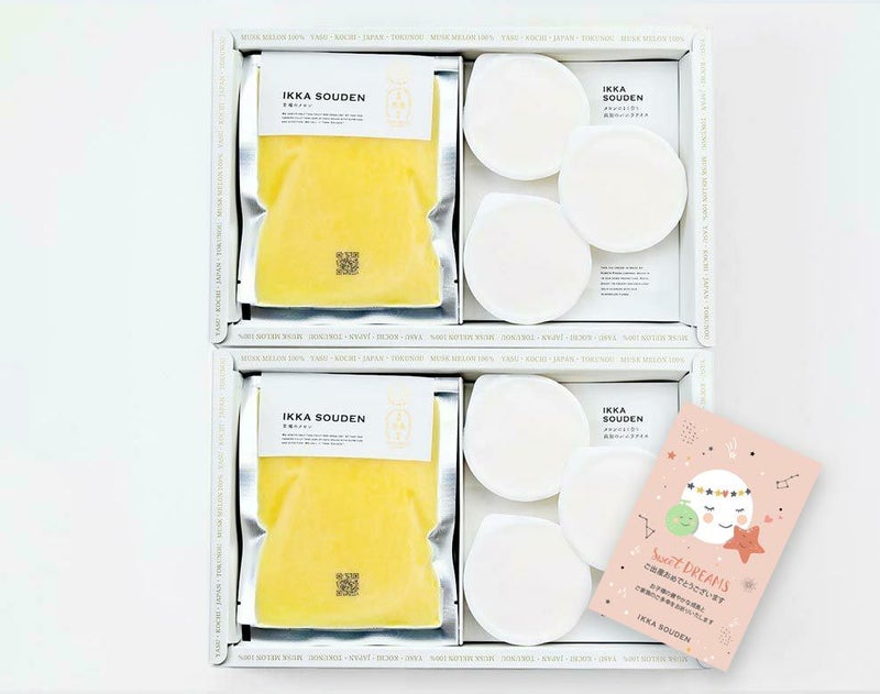 出産祝い マスクメロンのピューレ5袋と高知のバニラアイス5個【2箱】