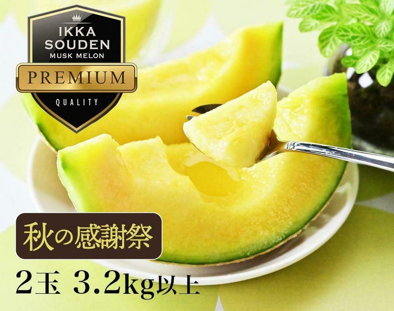 【特選】花包みマスクメロン2玉3.2kg以上