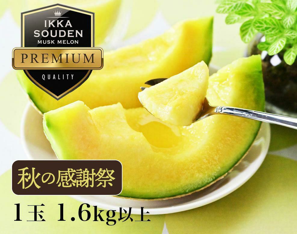  【特選】花包みマスクメロン1玉1.6kg以上