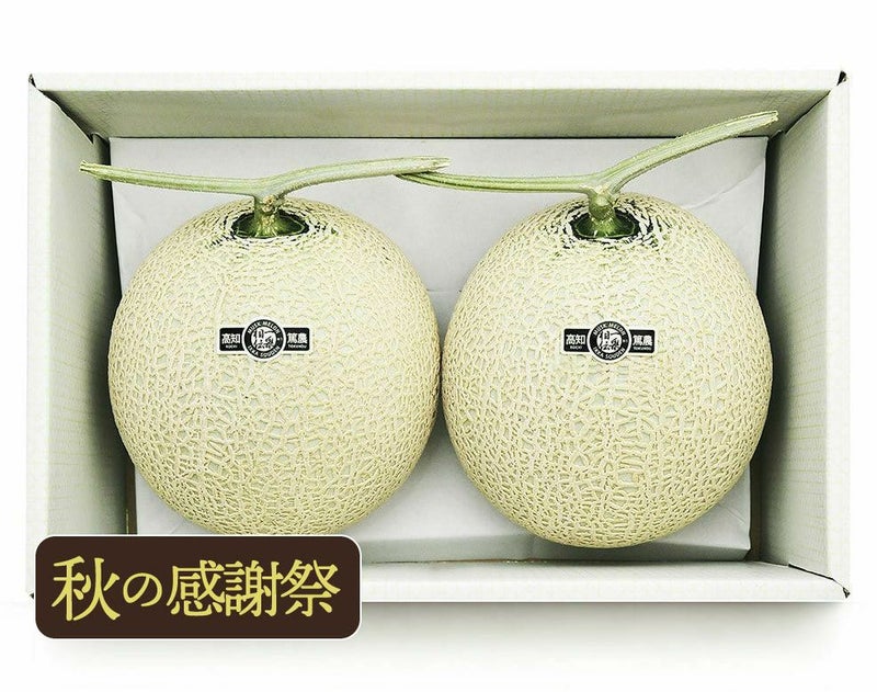 【良品】マスクメロン2玉2.8kg以上