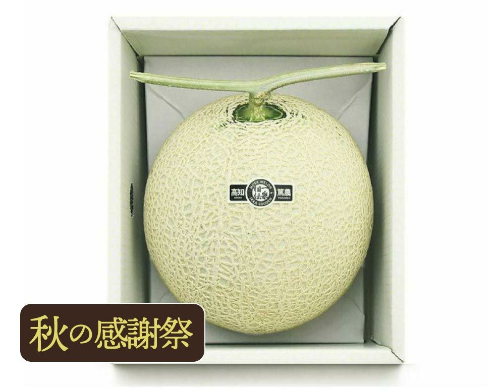 【良品】マスクメロン1玉1.6kg以上