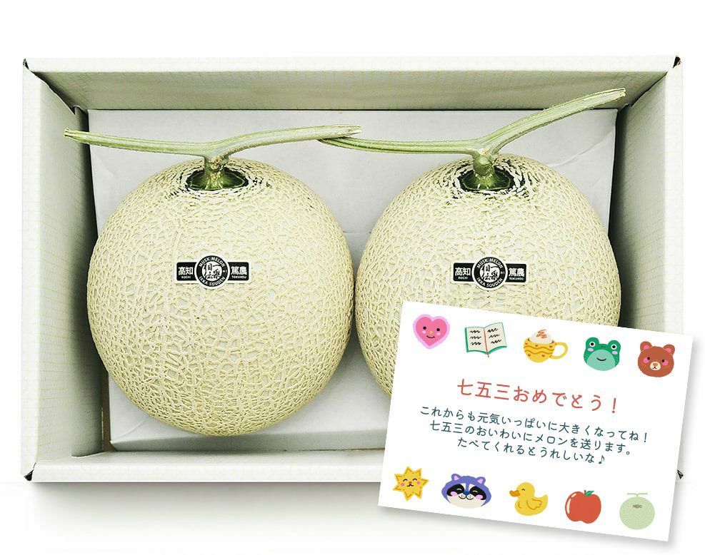 【中身美人】マスクメロン2玉3kg以上