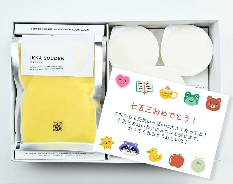 ［七五三限定］マスクメロンのピューレ5袋と高知のバニラアイス5個