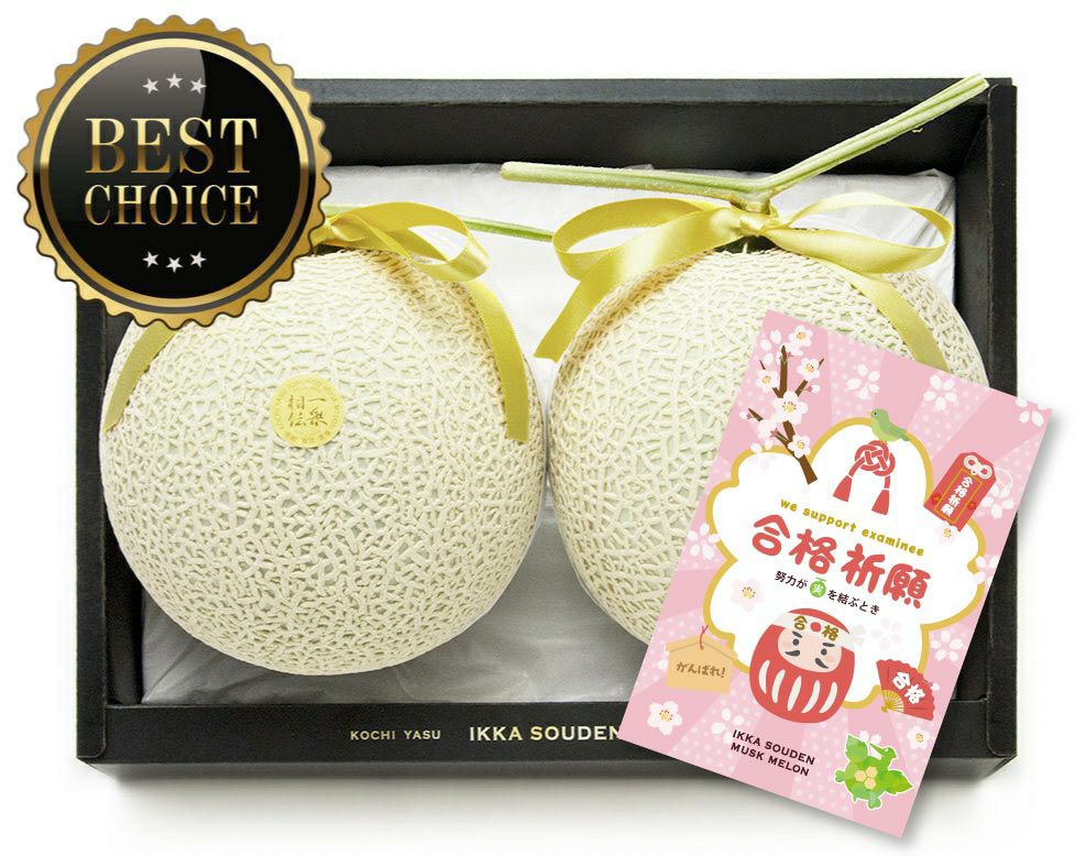 【上級品】合格祈願 マスクメロン2玉2.8kg以上