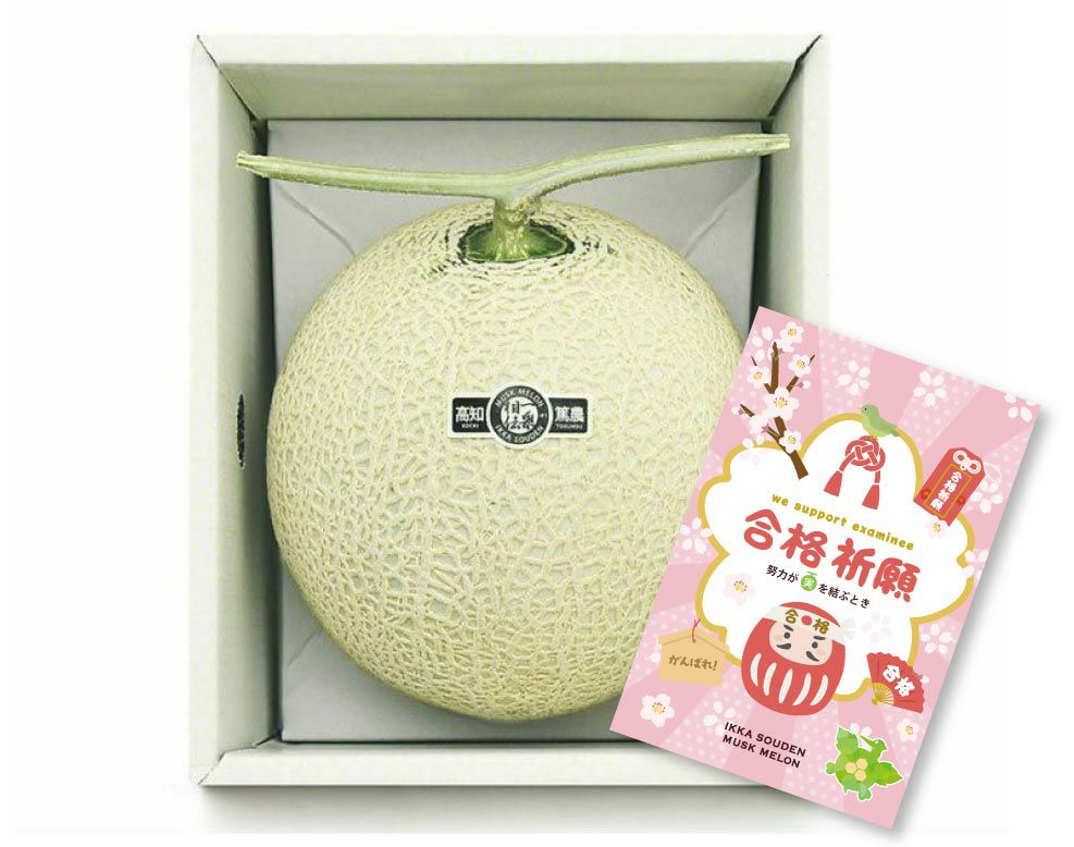 【良品】合格祈願 マスクメロン1玉1.6kg以上