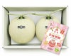 【良品】合格祈願 マスクメロン2玉2.8kg以上
