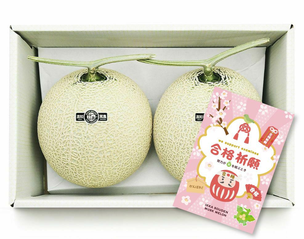 【良品】合格祈願 マスクメロン2玉2.8kg以上