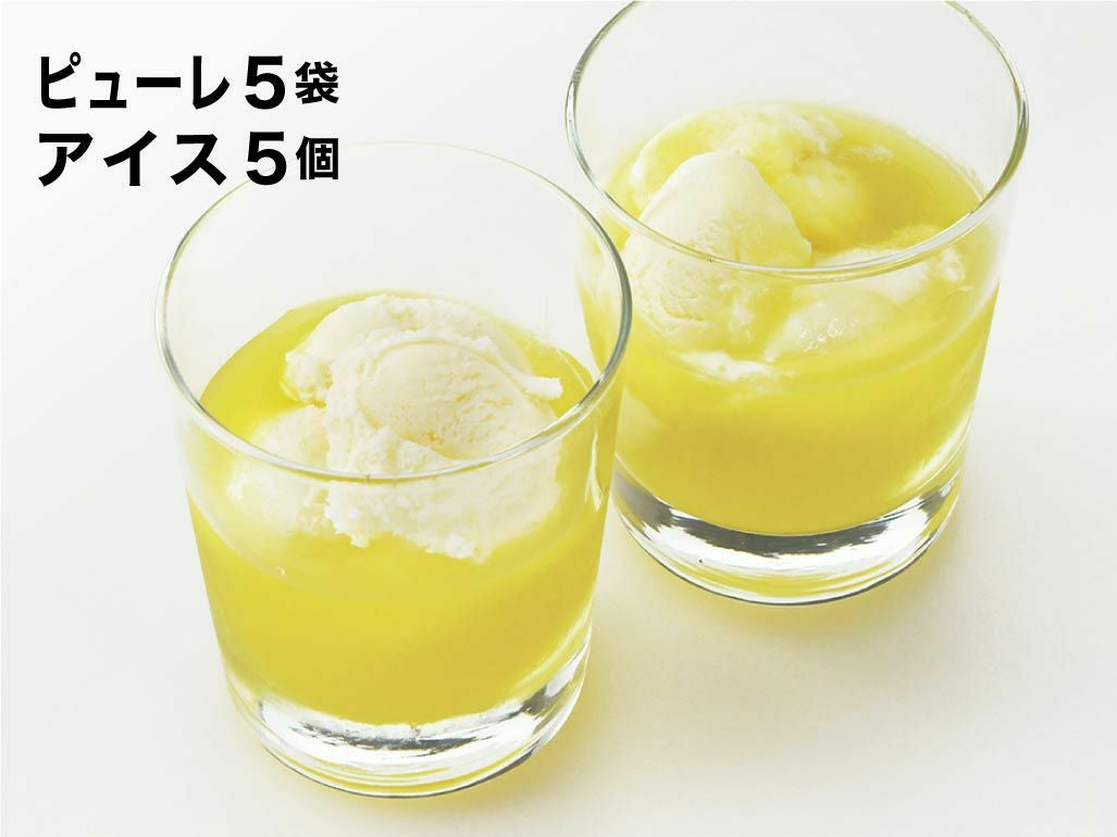 合格祈願 マスクメロンのピューレ5袋と高知のバニラアイス5個