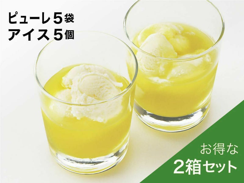 合格祈願 マスクメロンのピューレ5袋と高知のバニラアイス5個【2箱】