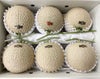 【ひとりじめメロン】紅一点 マスクメロン6玉7kg以上