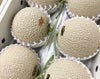 【ひとりじめメロン】紅一点 マスクメロン6玉7kg以上