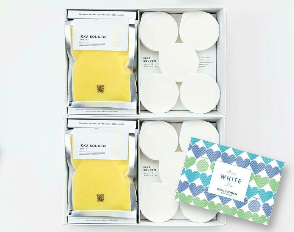 ホワイトデー マスクメロンのピューレ5袋と高知のバニラアイス5個【2箱】