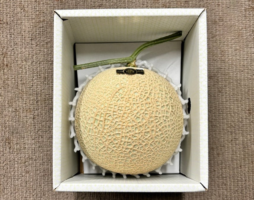 【ちょっと小さめ】マスクメロン1玉1.3kg以上箱入り