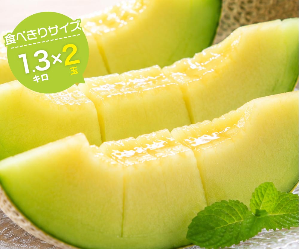 【食べきりサイズ】マスクメロン2玉2.6kg以上