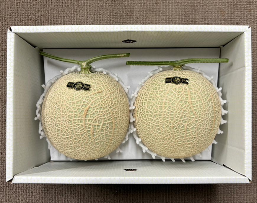 【ちょっと小さめ】マスクメロン2玉(2.6kg以上)