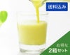 メロン農家が作ったマスクメロンジュースのもと【2箱】