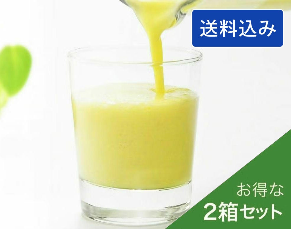 メロン農家が作ったマスクメロンジュースのもと【2箱】